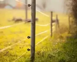 agricultural electric fence