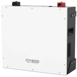 Dyness Lithiumion Battery BX-51100