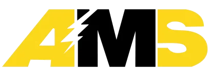AMS Security Vision Company Logo