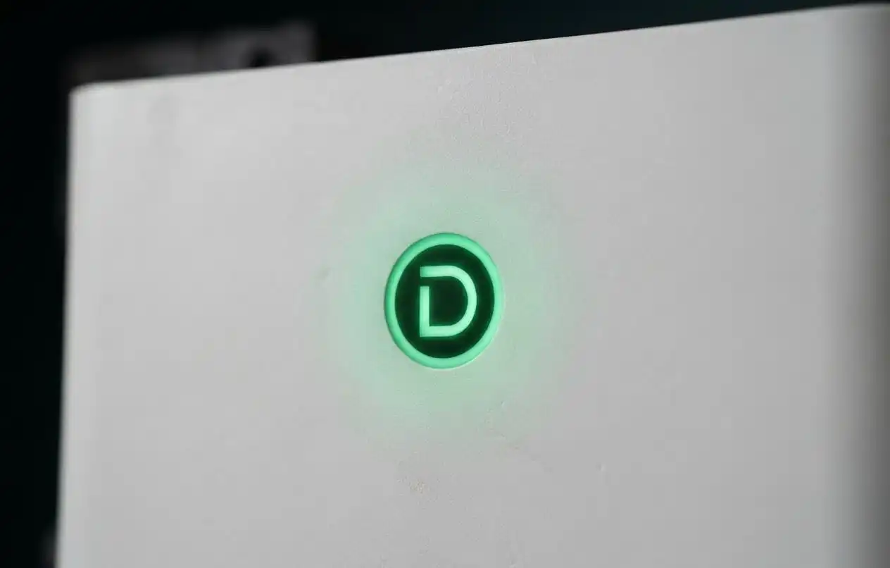 Dyness DL5.0F blinking D-logo charge status indicator light